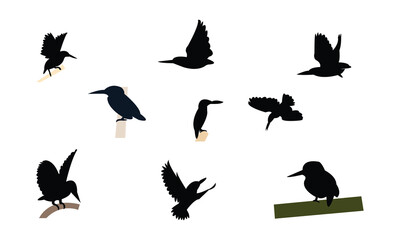 African dwarf kingfisher bird Silhouette Design  And Vector Illustration. 