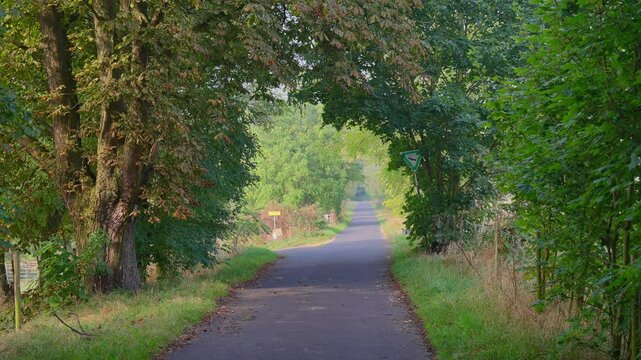 Tracking an empty single lane road or paved trails surrounded by lush green trees, Rhine Valley, Germany