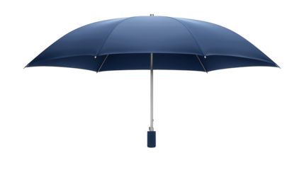 Blue umbrella with dark handle 