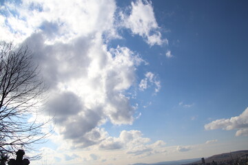 Bright Sky with White Clouds and Tree Silhouette on a Clear Day