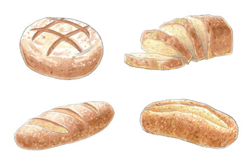 Watercolor style bread hand drawn illustration set