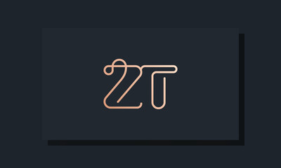 Minimal clip initial letter ZT logo.