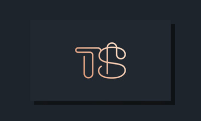 Minimal clip initial letter TS logo