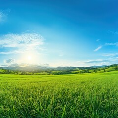 Fototapeta premium Serene Summer Landscape: Lush Green Fields Under a Bright Blue Sky
