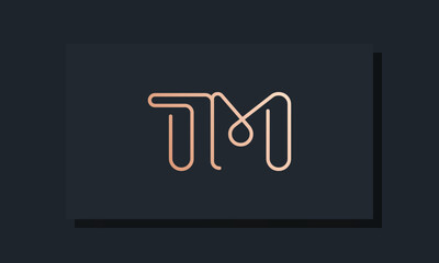 Minimal clip initial letter TM logo