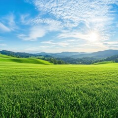 Obraz premium Serene Green Meadow Landscape Under a Sunny Sky
