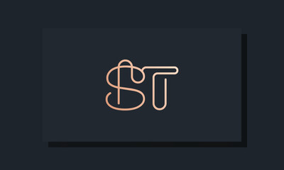 Minimal clip initial letter ST logo