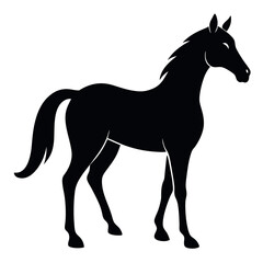 Obraz premium horse-silhouette-on-white-background.eps