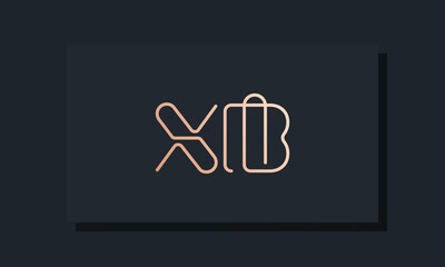 Minimal line art initial letters XB logo