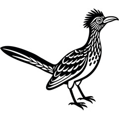 roadrunner--fast-ground-bird--vector-icon (1).eps