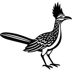 roadrunner--fast-ground-bird--vector-icon.eps