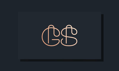 Minimal clip initial letter GS logo