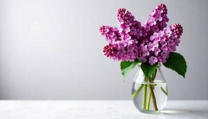 Fototapeta premium stunning purple lilac blooms blooming in a clear glass vase filled with fresh water, stunning, fresh