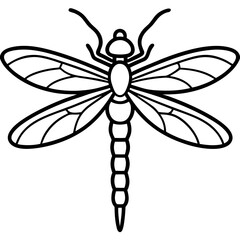 Fine Line Dragonfly Design