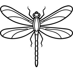 Fine Line Dragonfly Design