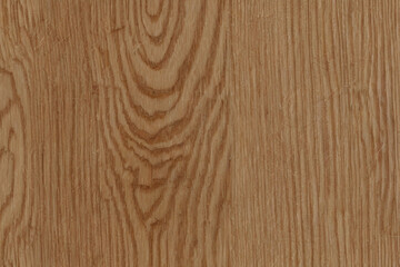 The seamless pattern with realistic wood grain is perfect for backgrounds, overlays and furniture designs.