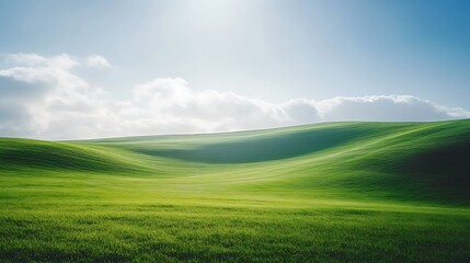 Obraz premium Beautiful Green Fields Under Bright Blue Sky with White Clouds