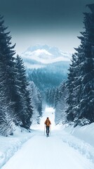 Snowy Alpine Path, Hiker, Winter Landscape