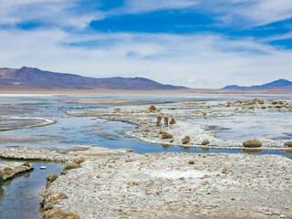 Atacama desert in Bolivia