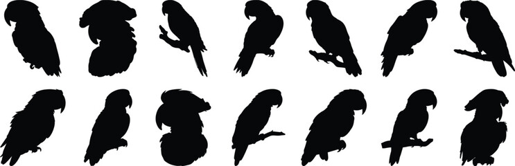 Parrot silhouettes set, bird pack of vector silhouette design, isolated background