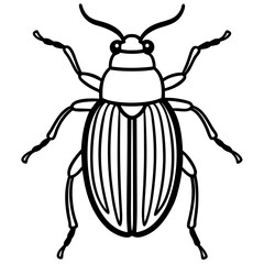 Geometric Beetle Design