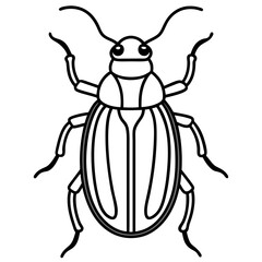 Geometric Beetle Design