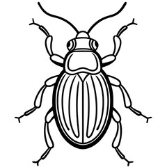 Geometric Beetle Design