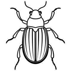 Geometric Beetle Design
