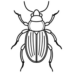 Geometric Beetle Design