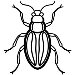 Geometric Beetle Design