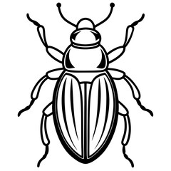 Geometric Beetle Design