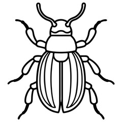 Geometric Beetle Design