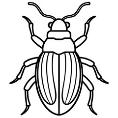 Geometric Beetle Design