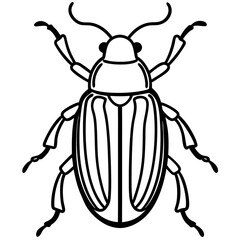 Geometric Beetle Design