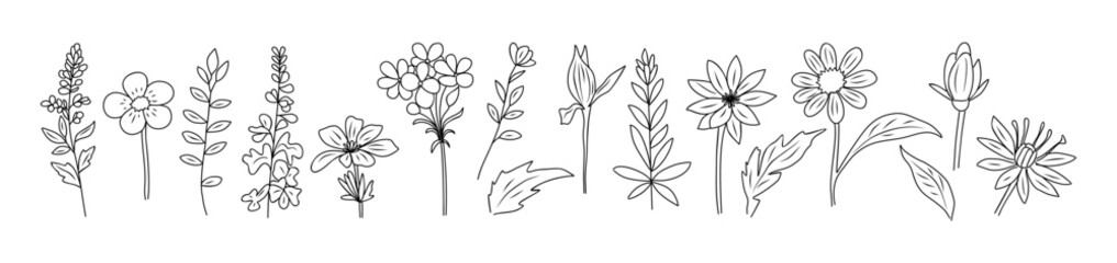 Set of tiny wild flowers and plants line art vector botanical illustrations. Trendy greenery hand drawn black ink sketches collection. Modern design for logo, tattoo, wall art, branding and packaging.