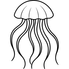 Graceful Jellyfish Lines