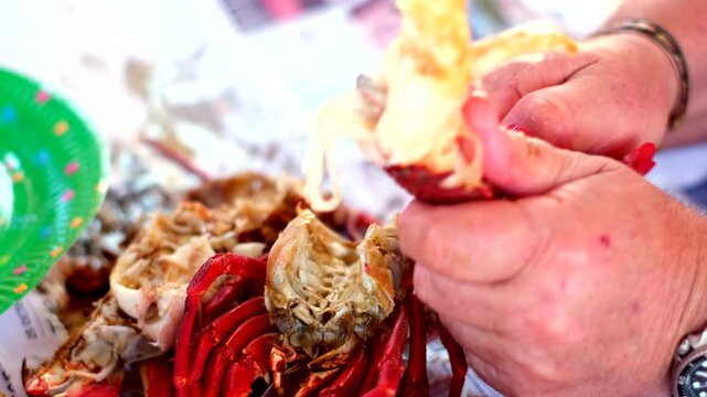 Man use hands to crack open rock lobster tail and remove white meat, closeup