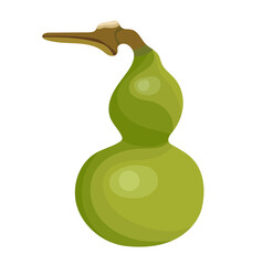 Fresh Green Bottle Gourd Vegetable Illustration Isolated on White Background