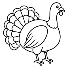 Graceful Turkey Drawing