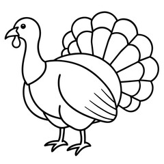 Graceful Turkey Drawing