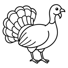 Graceful Turkey Drawing