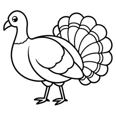 Graceful Turkey Drawing