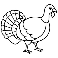 Graceful Turkey Drawing