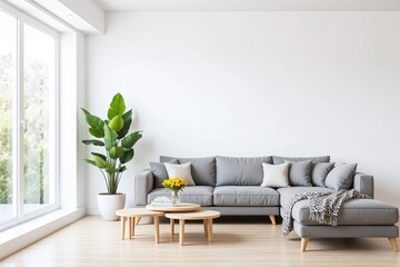 Modern living room window gray sofa coffee tables potted plant