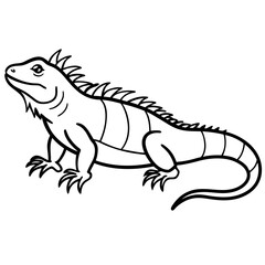 Linear Iguana Design