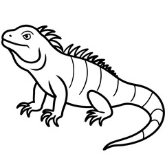Fototapeta premium Linear Iguana Design