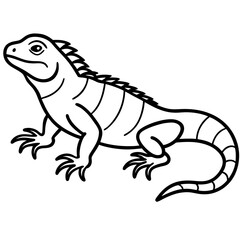 Linear Iguana Design