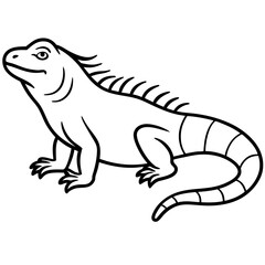 Linear Iguana Design