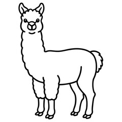 Minimalist Alpaca Vector