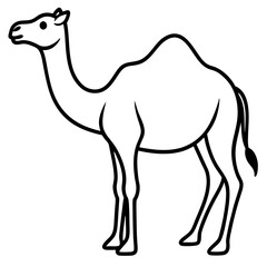 Minimalist Camel Line Art